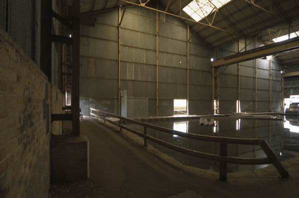Picture &copy; Peter Marshall, 2004