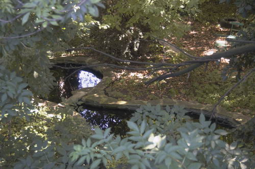 Picture &copy; Peter Marshall, 2004