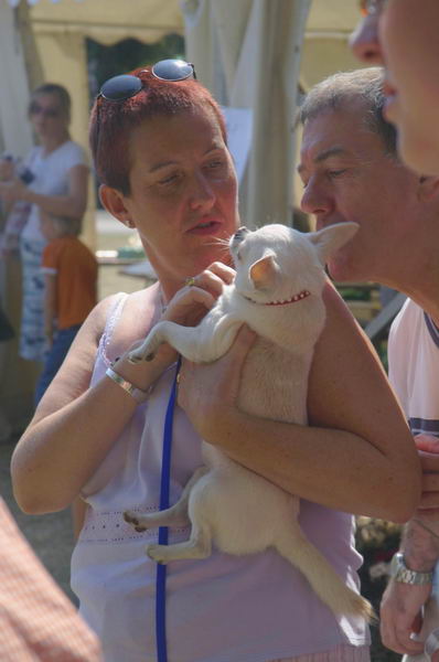 Picture &copy; Peter Marshall, 2004