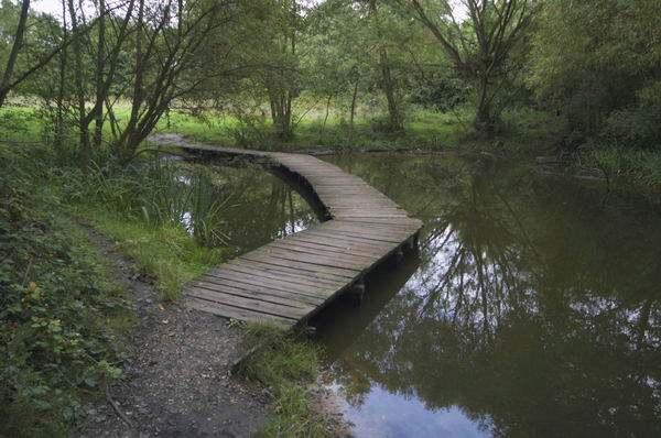 Picture &copy; Peter Marshall, 2004