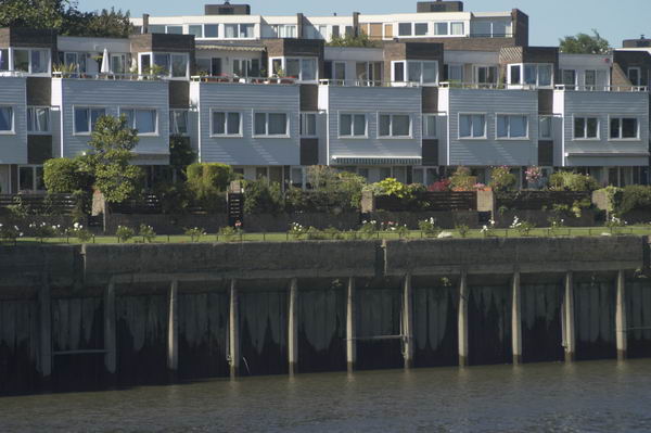 Picture &copy; Peter Marshall, 2004