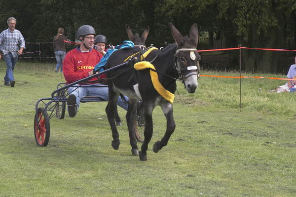 Picture &copy; Peter Marshall, 2004