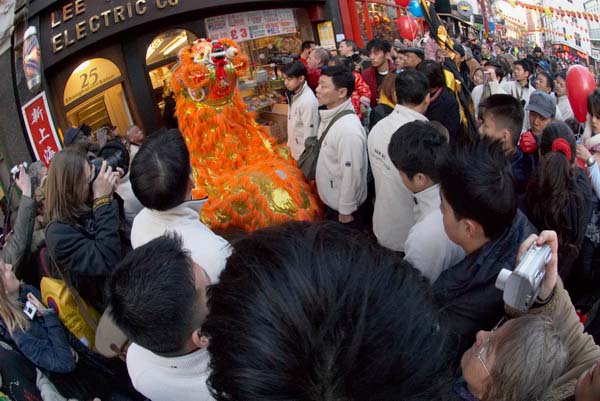 Chinese New Year of the Dog