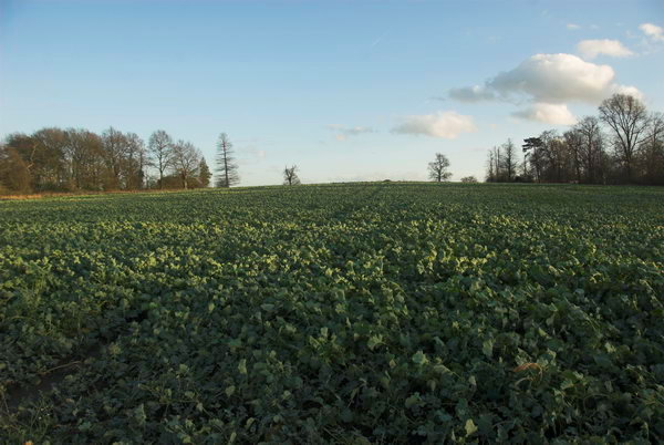 London Loop: Chigwell to Harold Wood &copy; Peter Marshall. 2007
