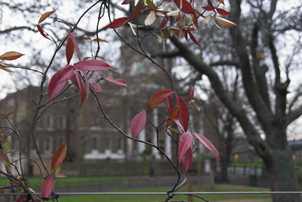 &copy; 2007, Peter Marshall