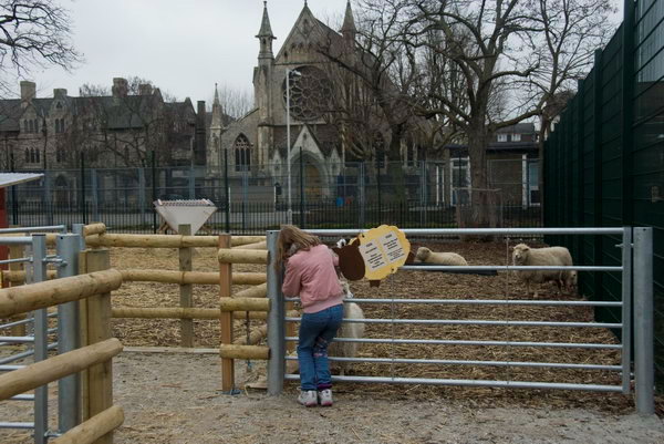 Spitalfields Urban Farm &copy; 2007, Peter Marshall