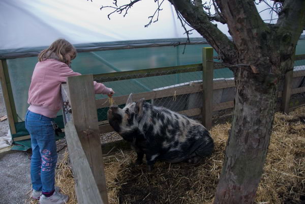 Spitalfields Urban Farm &copy; 2007, Peter Marshall