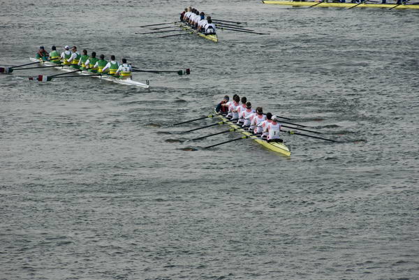 Head of the River Race (C) 2007, Peter Marshall