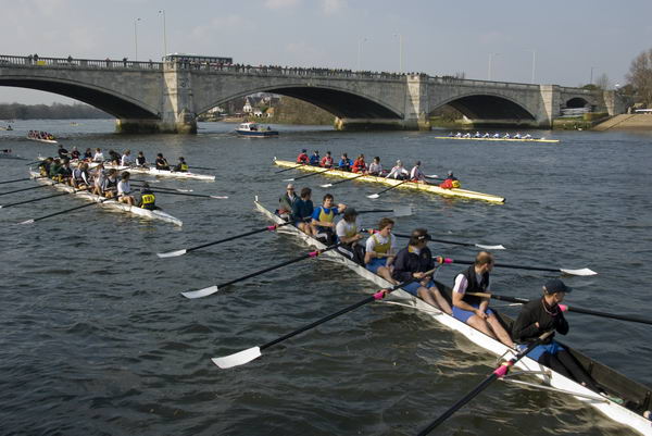 Head of the River Race &copy; 2007, Peter Marshall