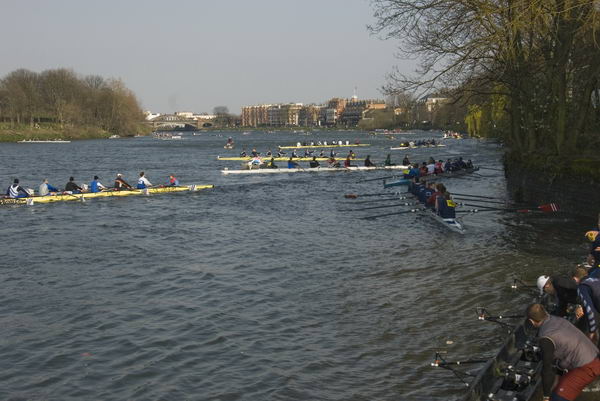 Head of the River Race &copy; 2007, Peter Marshall