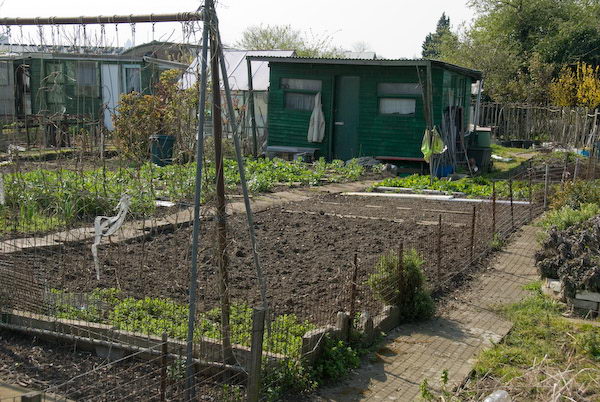 Manor Gardens &copy; 2007, Peter Marshall