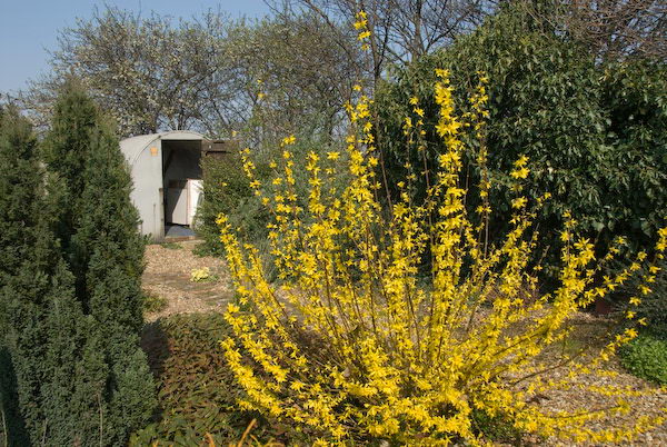 Manor Gardens &copy; 2007, Peter Marshall