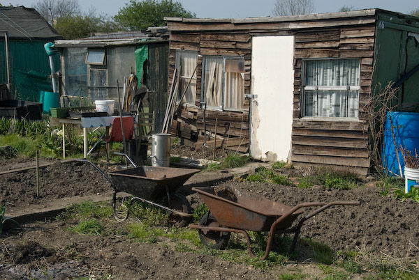 Manor Gardens &copy; 2007, Peter Marshall