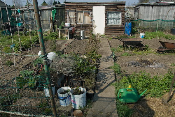 Manor Gardens &copy; 2007, Peter Marshall