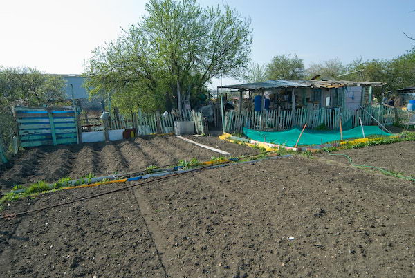 Manor Gardens &copy; 2007, Peter Marshall