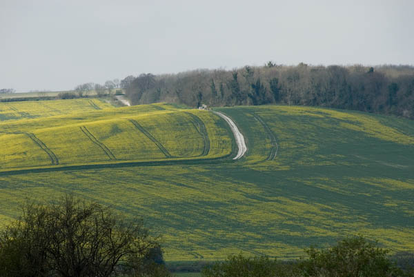 Amberley, Sussex (C) 2007, Peter Marshall