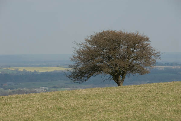 Amberley, Sussex (C) 2007, Peter Marshall