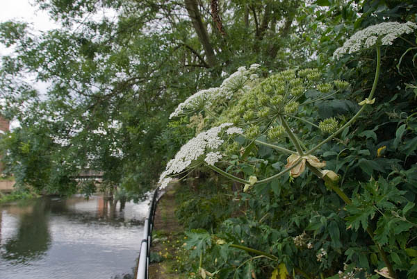 Olympic site &copy; 2007, Peter Marshall