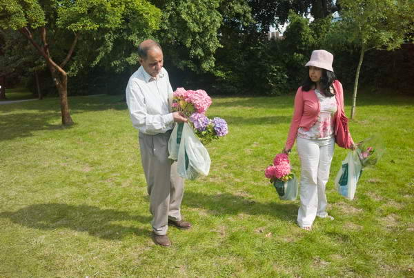 Hampton Court Flower Show &copy;  2007, Peter Marshall